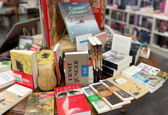 Lib_Ales_interieur2_LSL